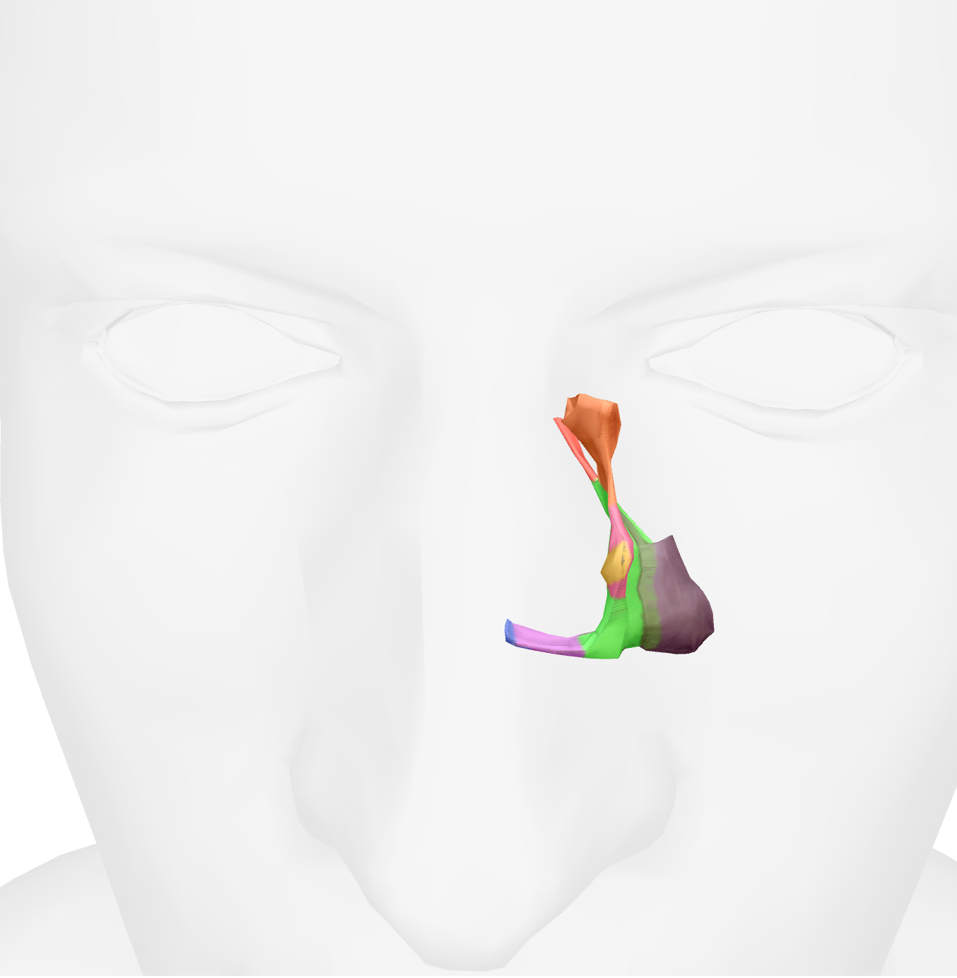 <p>bone that makes roof of mouth </p>