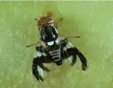 <p>What is this example of?</p>