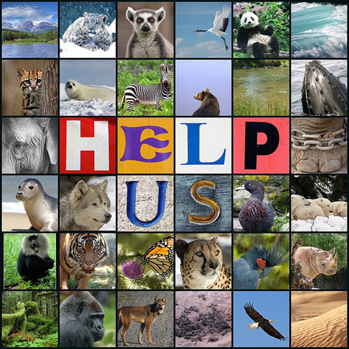 <p>to protect animals</p>