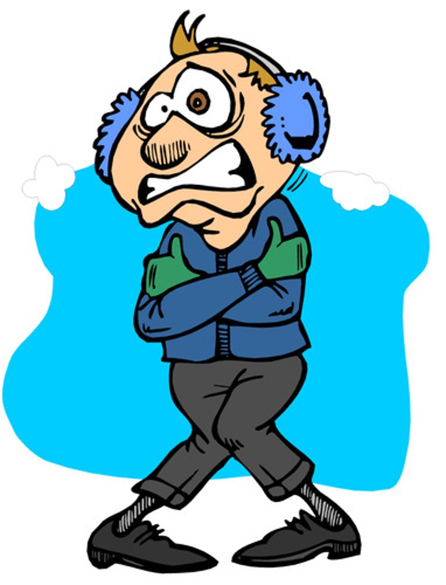 <p>Hace frío!</p>