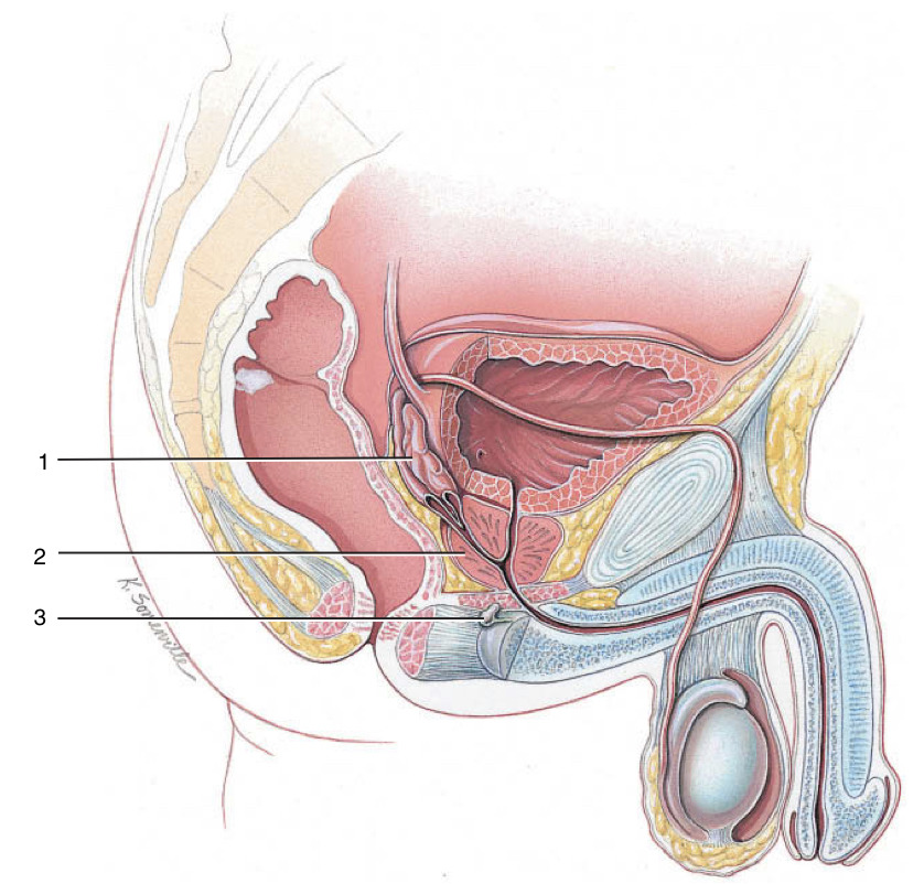 <p>2</p>