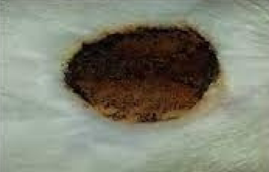 knowt flashcard image