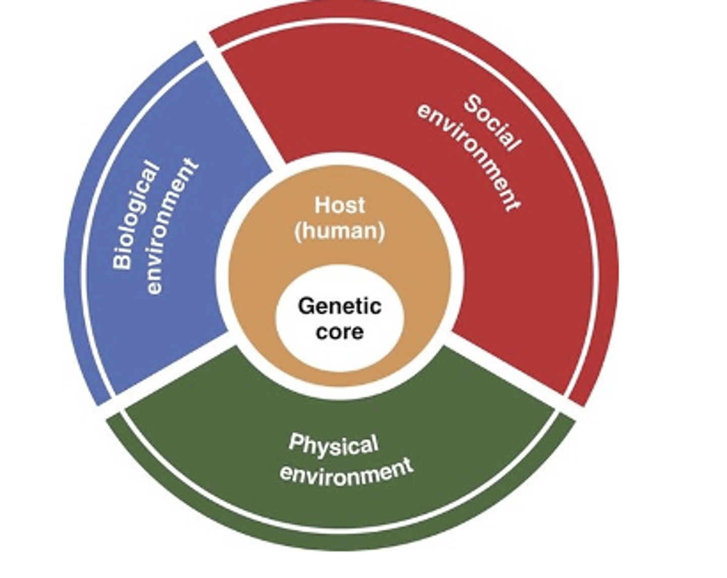 <p>host at center and has social, physical or biological risk, patient has genetic core</p>