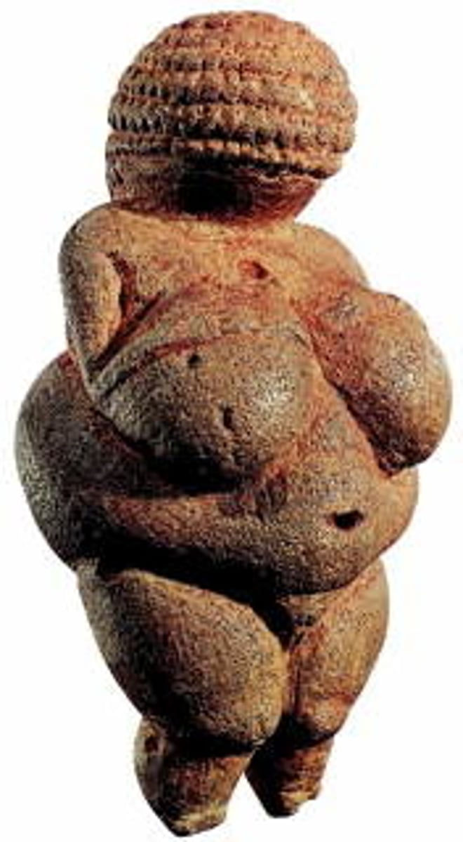 <p>Location: Willendorf, Austria (now in Vienna museum)</p><p>Medium: Small sculpture</p><p>Features: Exaggerated large stomach and breasts, no facial features, braided pattern on head</p><p>Interpretation: Assumed to be a fertility figure, named after Roman goddess Venus</p><p>Mystery: True significance unknown due to age</p><p>Study Tip: Focus on the exaggerated feminine features and fertility symbolism</p>