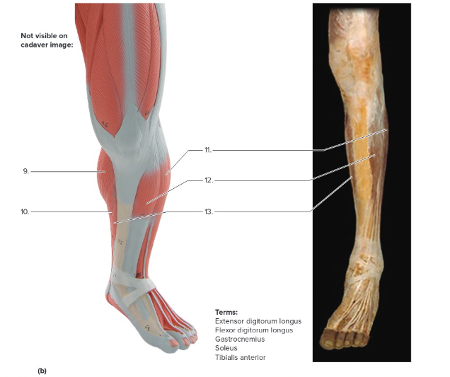 <p>Label the following</p>