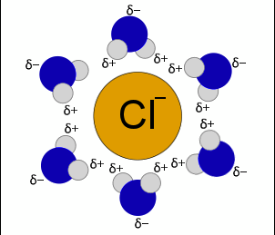 <p>the interaction of a solvent with a dissolved solute </p><p></p><p>*water forms H-bonds with a solute, forming a hydration shell around it. </p>