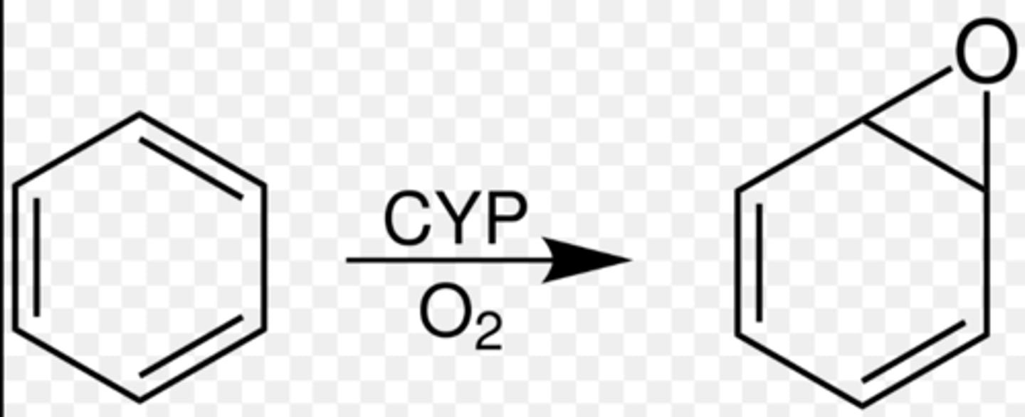 <p><strong>arene oxides/epoxides</strong></p>