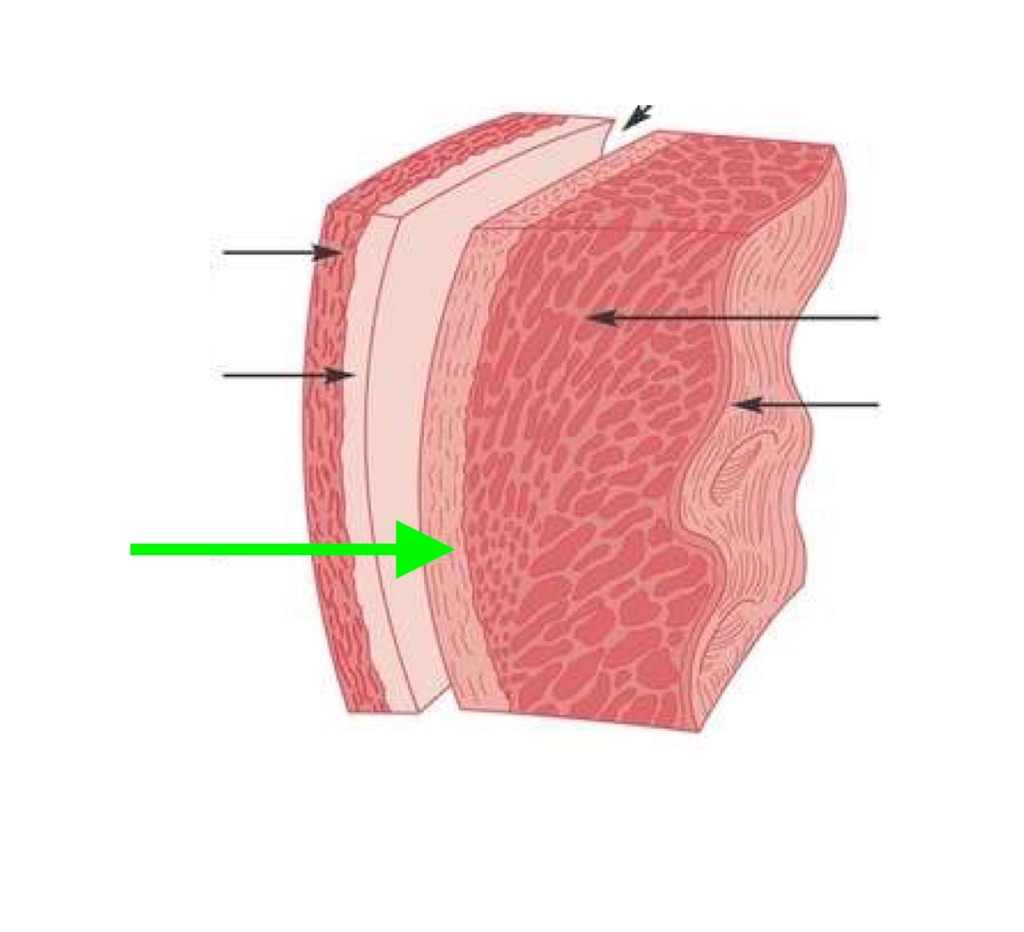 <p>what is this?</p>