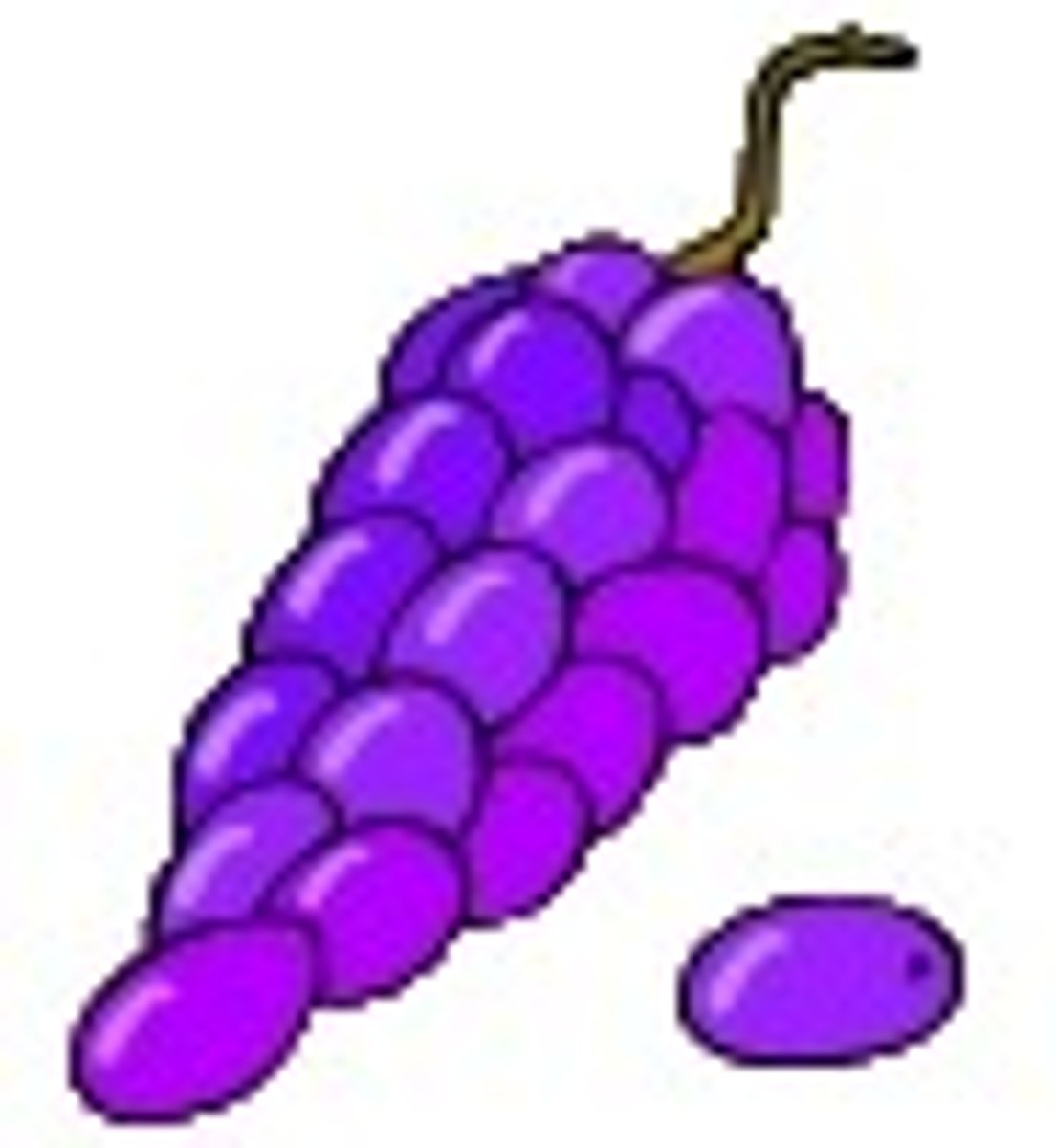 <p>grape</p>