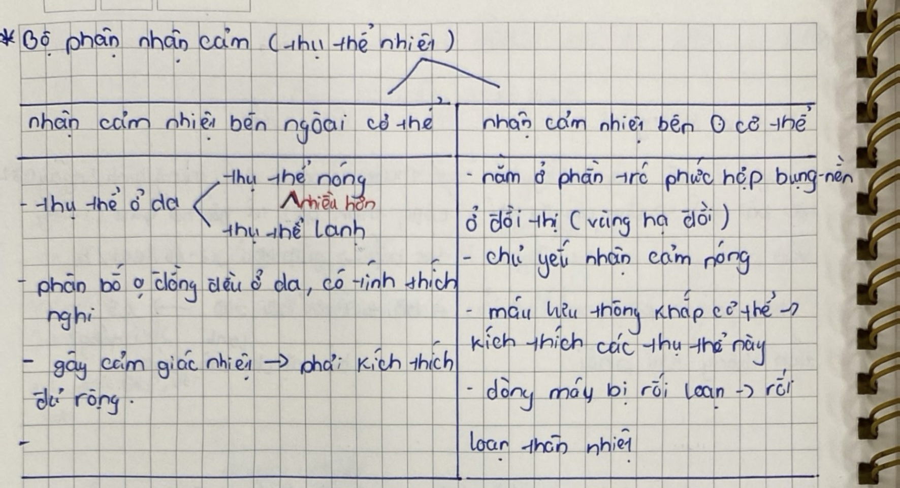 <p>…→ thụ thể nhiệt</p><p>Gồm:</p><ul><li><p>nhận cảm nhiệt bên ngoài cơ thể</p></li><li><p>Nhận cảm bên trong cơ thể</p></li></ul><p></p>