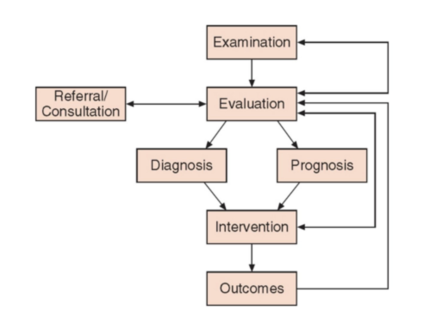 <p>exam → history, review of systems, test & measures, data collection to form diagnosis, prognosis, POC</p><p>evaluation → clinical reasoning based on data from exam</p><p>prognosis, diagnosis → intervention</p><p>plan of care</p>