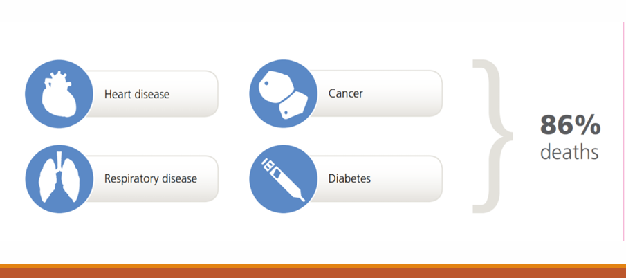 <ul><li><p>heart disease</p></li><li><p>cancer</p></li><li><p>respiratory disease</p></li><li><p>diabetes</p></li><li><p>smoking/diet</p></li></ul><p></p>