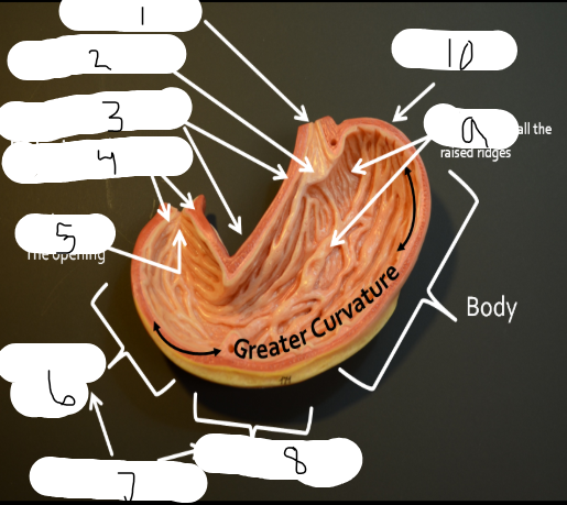 <p>6</p>