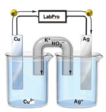 <p>consists of two electrodes (metallic conductors), in contact with electrolyte (an ionic conductor); they form two half-cells (compartments);&nbsp;difference in the electrical potential (voltage) between the electrode and the solution in each of the two half-cells;&nbsp;</p>