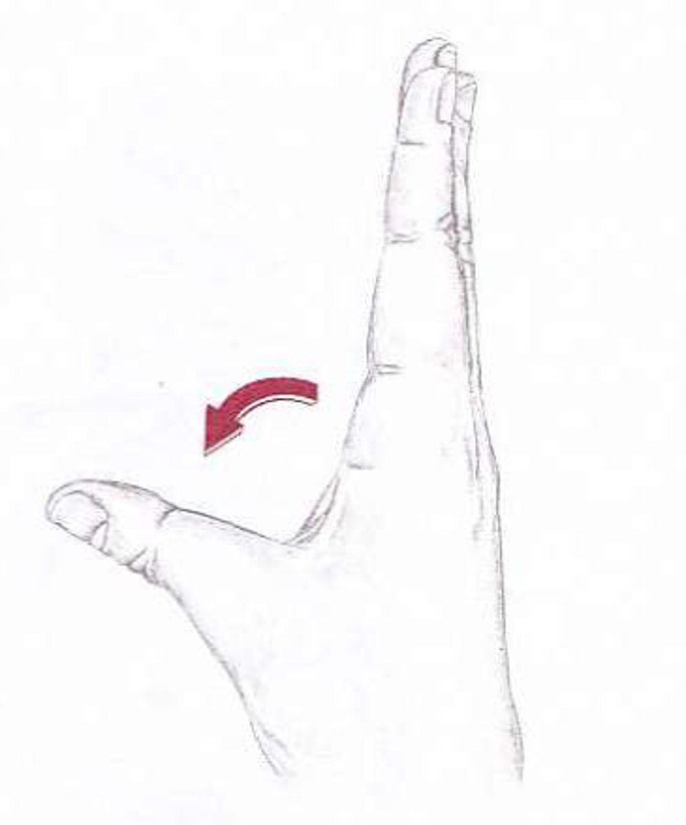 <p>identify the action</p>