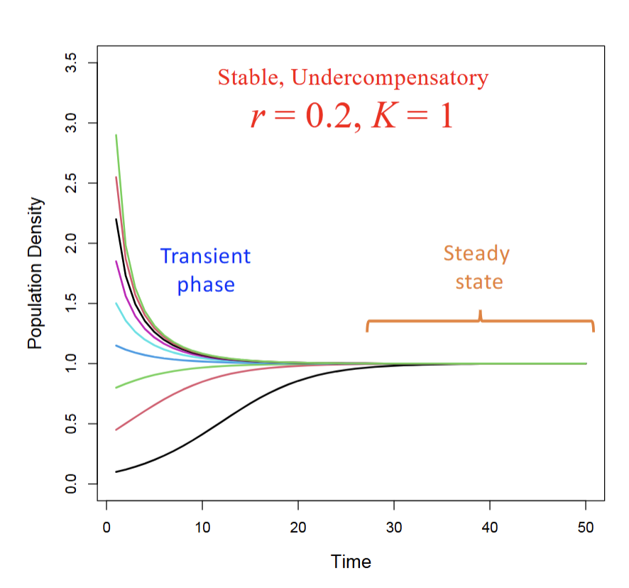 <p>There will be either gradual increases or gradual decreases</p><p>-N<sub>1</sub>&lt;K=gradual increase</p><p>-N<sub>1</sub>&gt;K=gradual decrease</p>