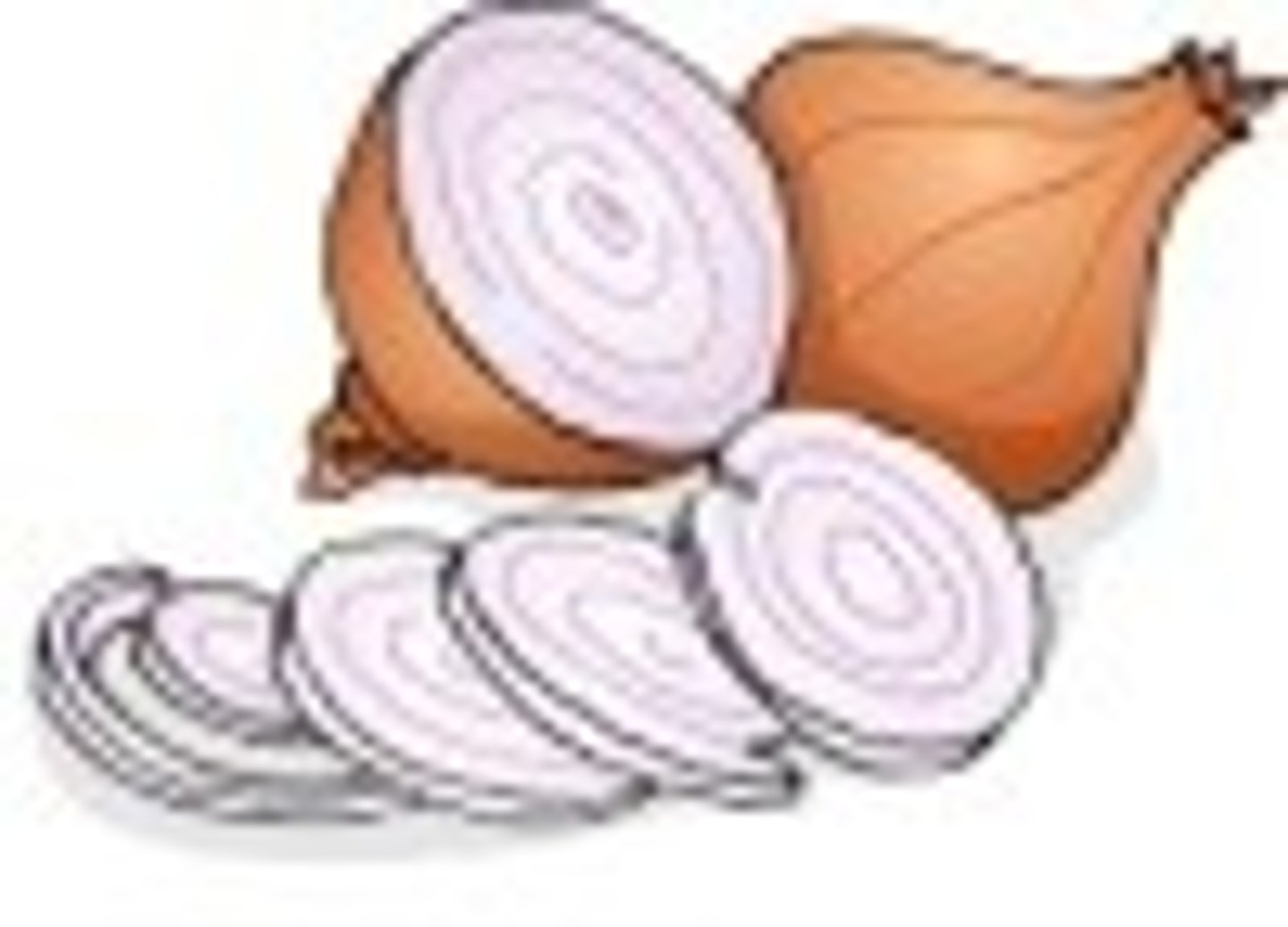 <p>onion</p>