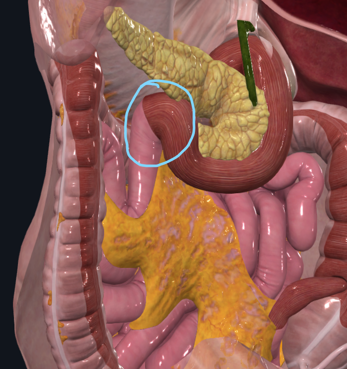 <p>What does the circle refer to</p>