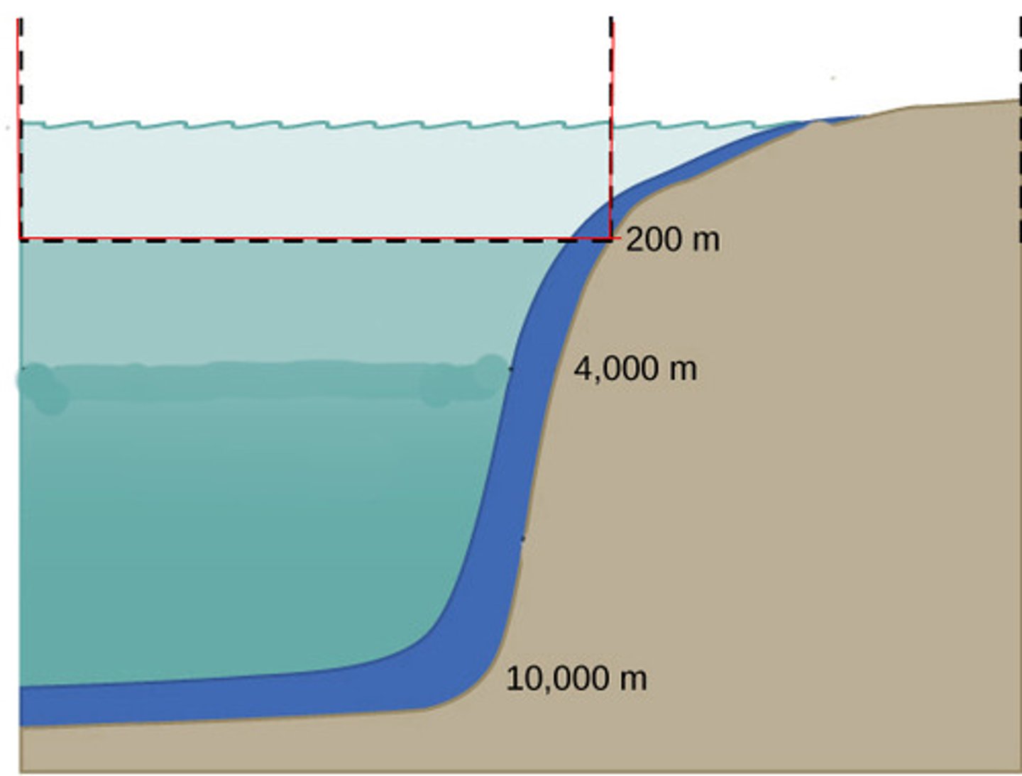 <p>The upper layer of aquatic environments where sufficient light penetrates for photosynthesis.</p>