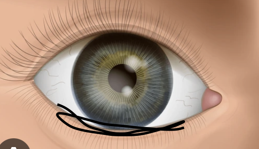<p>what is this </p>