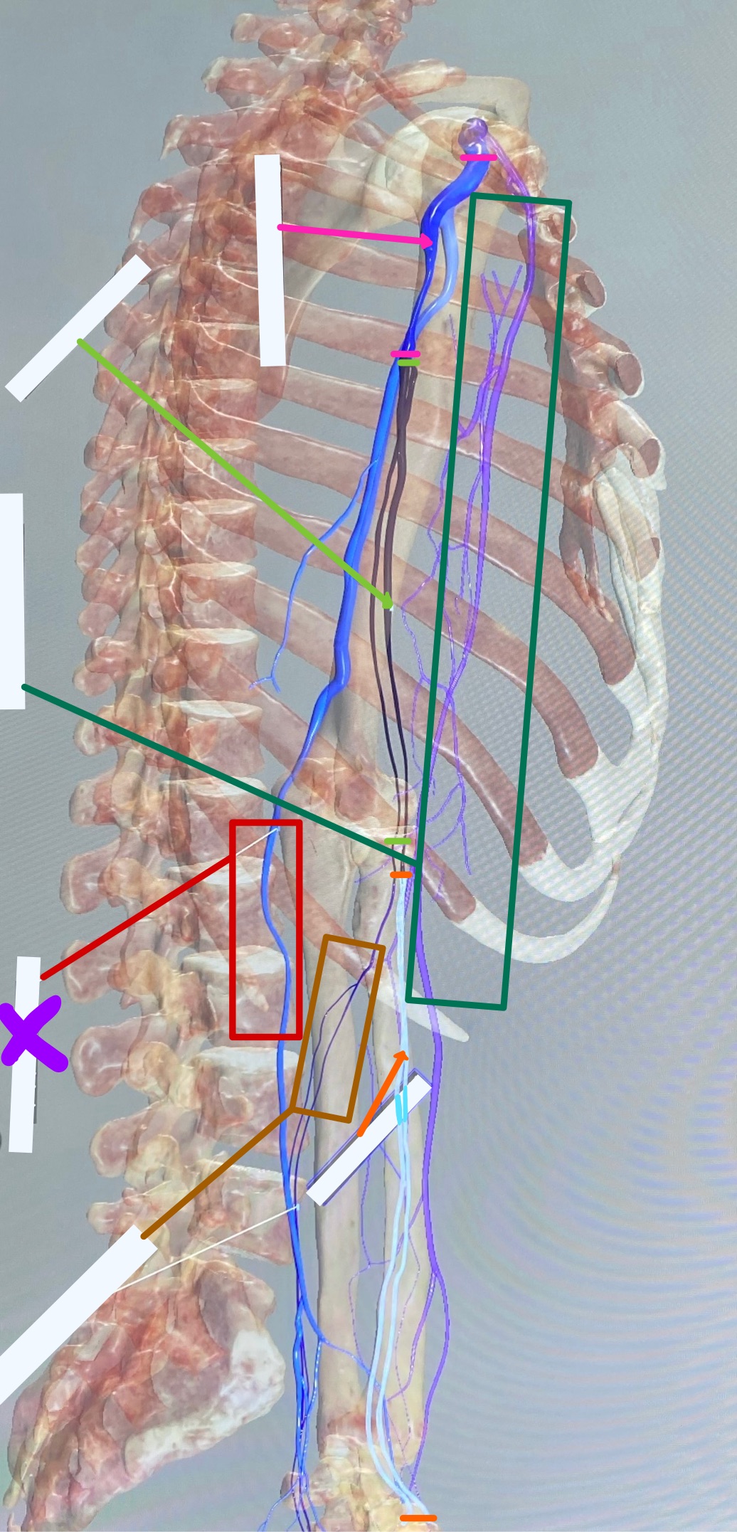 knowt flashcard image