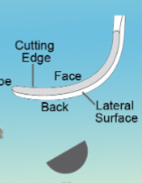 <p>What is this?</p>