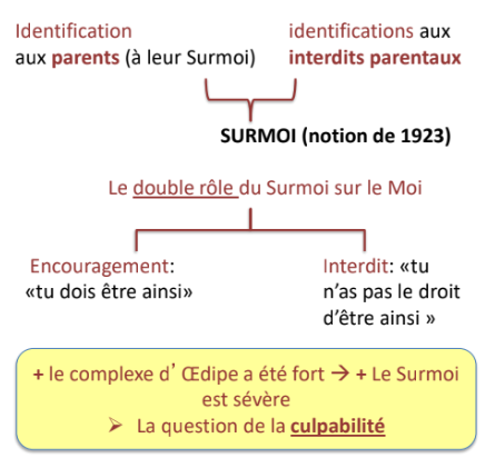 1/ Au début: investissement de la mère/identification au père

2/ Complexe d’Œdipe: Renforcement des souhaits sexuels pour la mère/ Père = obstacle pour ces souhaits 
➢ INTERDITS venant du père:
▪ Identification hostile au père: le remplacer auprès de la mère
▪ Ambivalence à l’encontre du père (liée à la bisexualité 
 psychique)

3/ Angoisse de Castration: interdits mis en place à 
l’intérieur du Moi

4/ Déclin du Complexe d’Œdipe= soit identification à la mère soit idenfication renf au père/relation tendre à la mère/consolidation de la masculinité