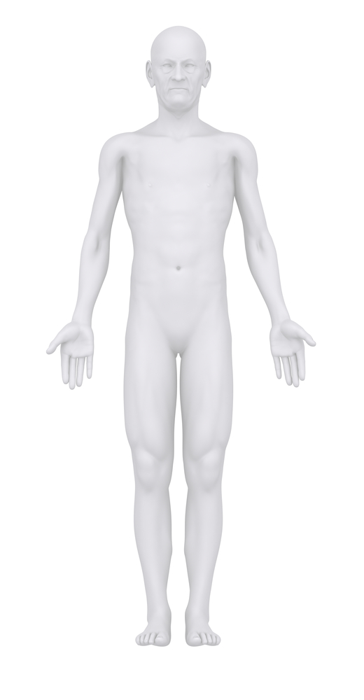 <p>subject stands upright facing forward with palms facing forward </p>