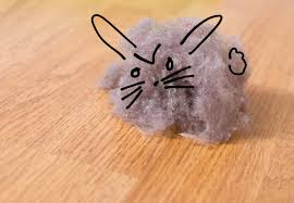 <p><span style="background-color: transparent;"><span>bola de polvo</span></span></p>