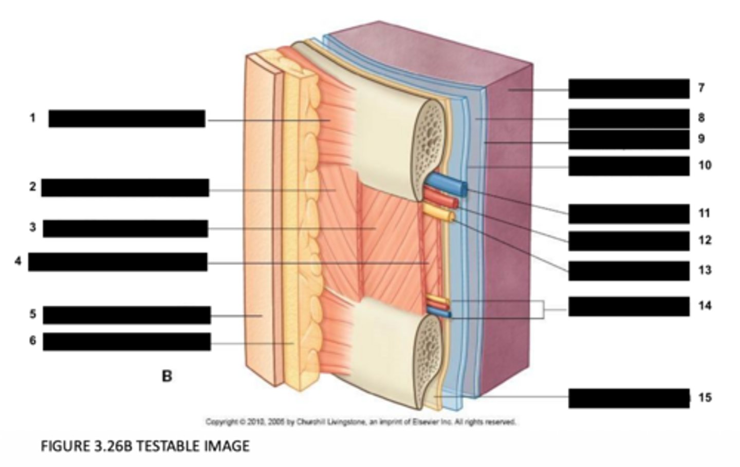 <p>10</p>