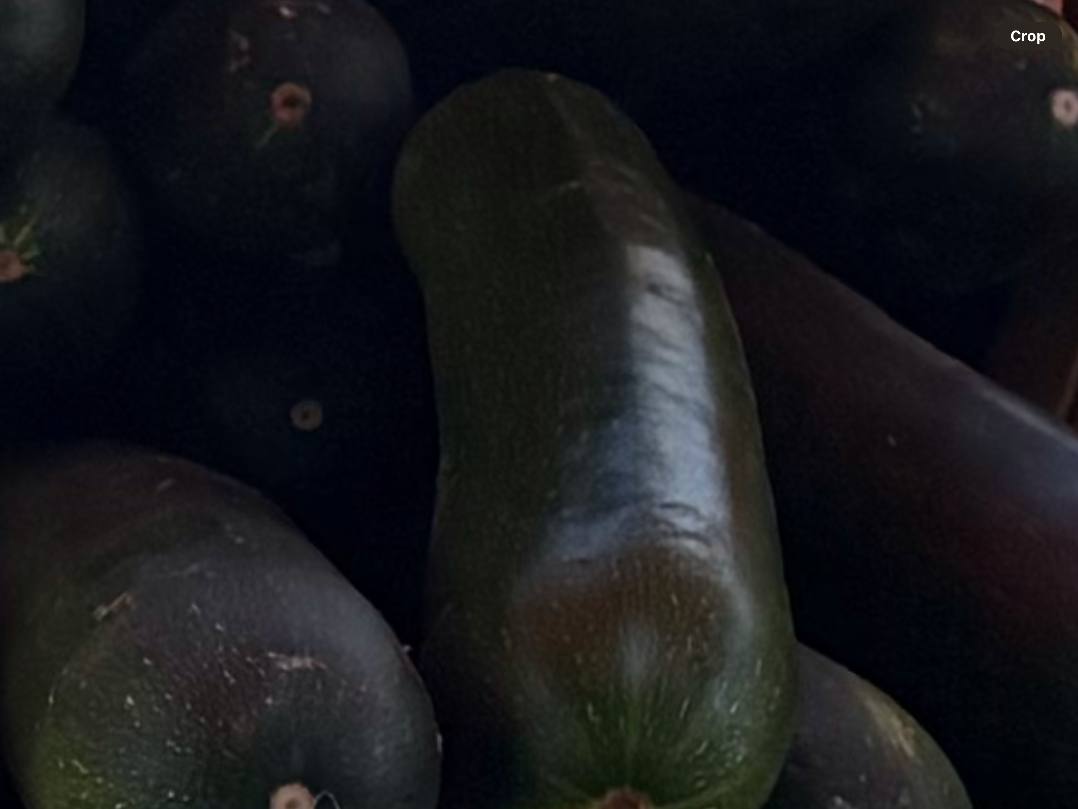 <p>Large zucchini</p>