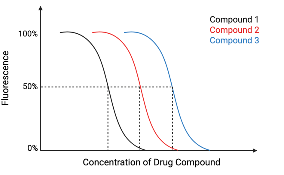 <p>Measuring drug affinity - Competition binding curve</p><p></p>