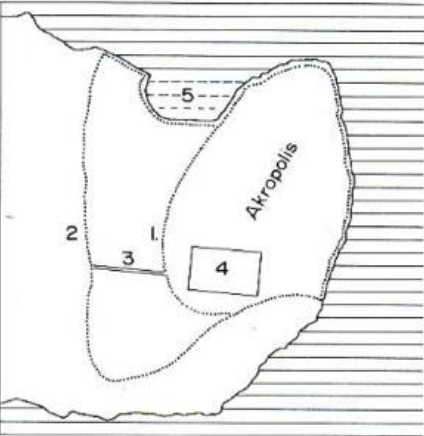 <p>Label order of growth 1-3</p>