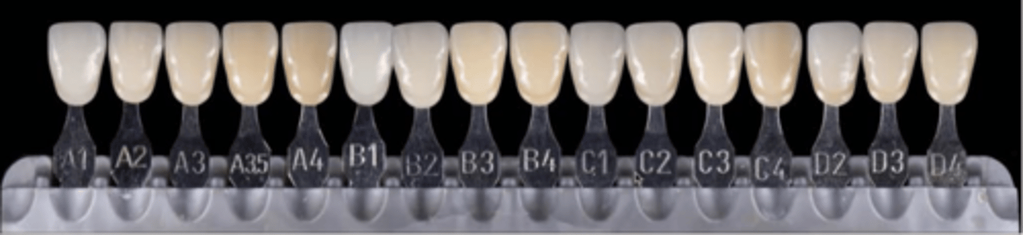 <p>Is this hue-oriented or value-oriented?</p>