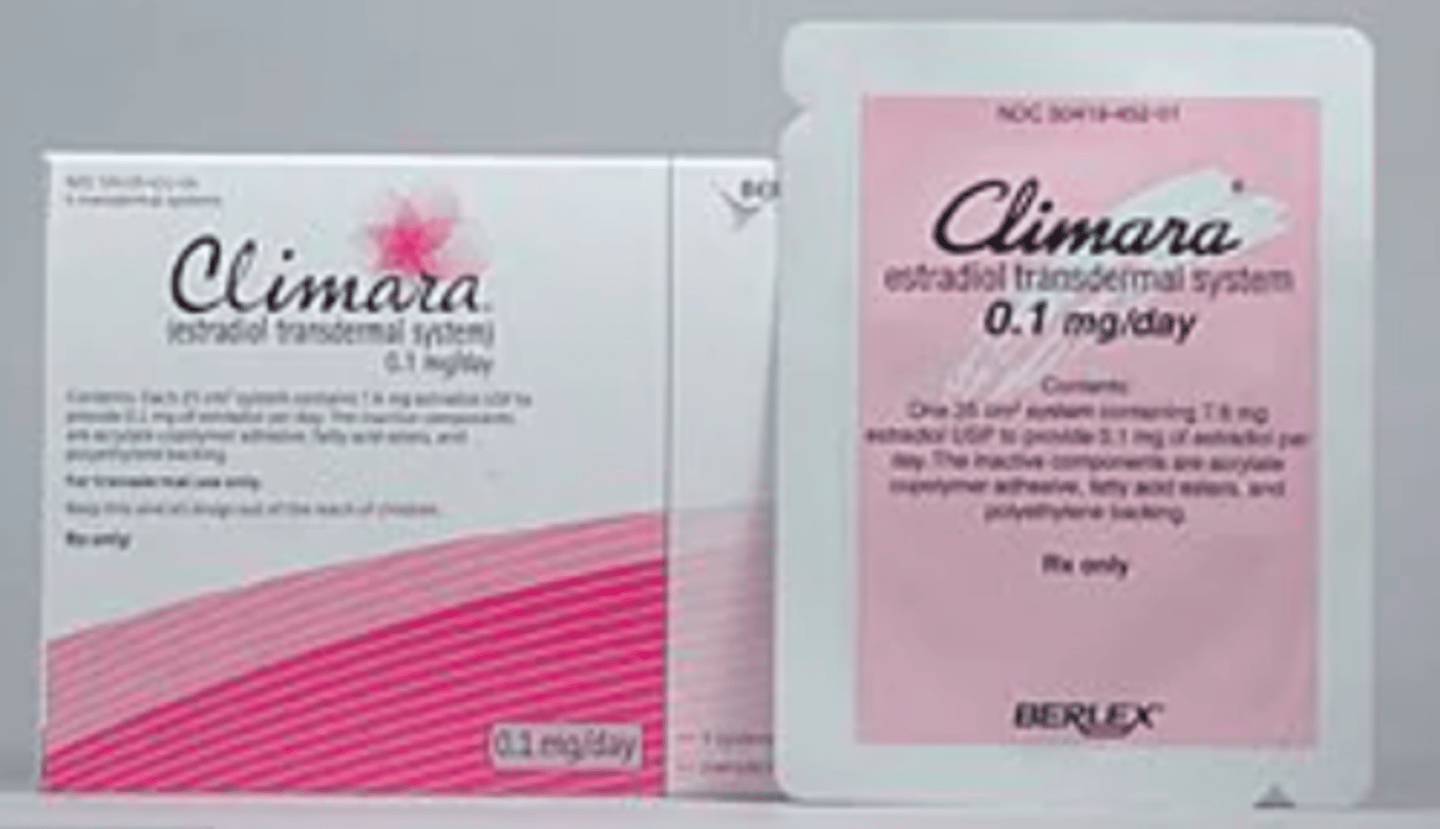 <p>estradiol patch</p><p>(menopause)</p>