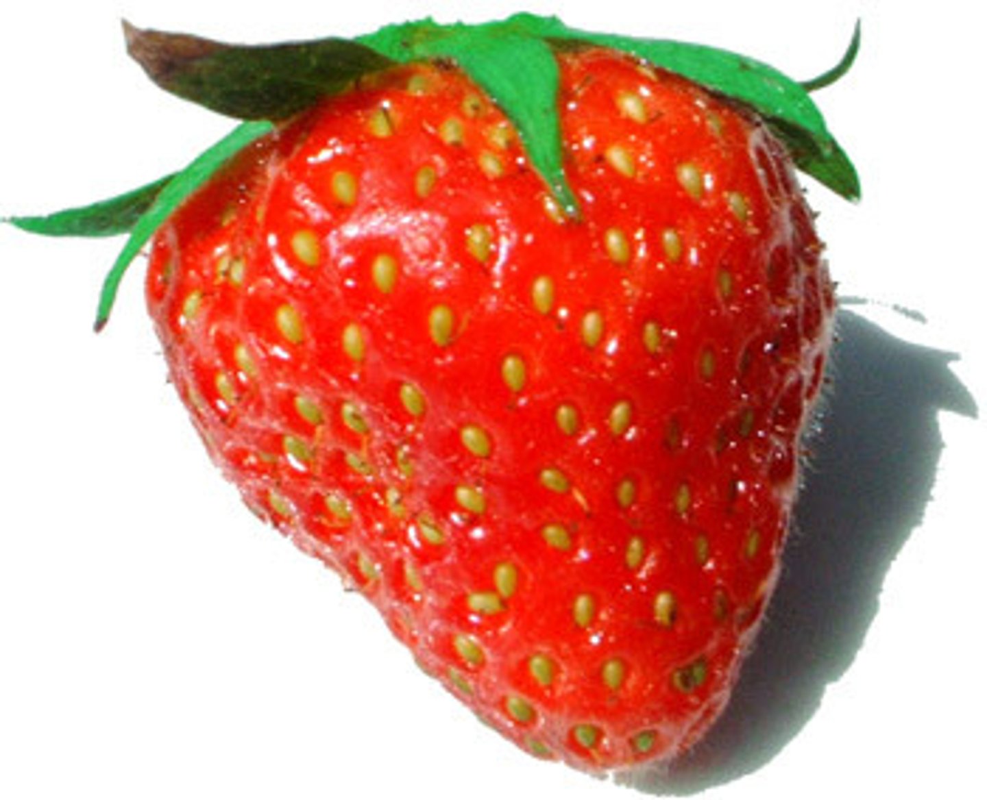 <p>strawberry</p>