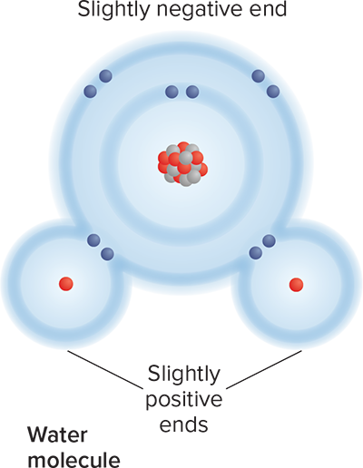 <p>Polar Molecule</p>