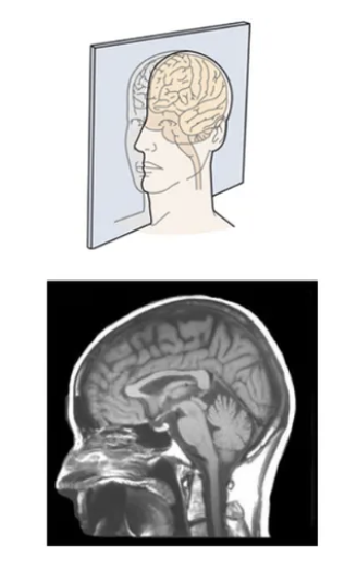 <p></p>