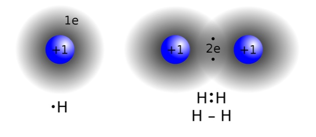 <p>A bond shared electron density</p>