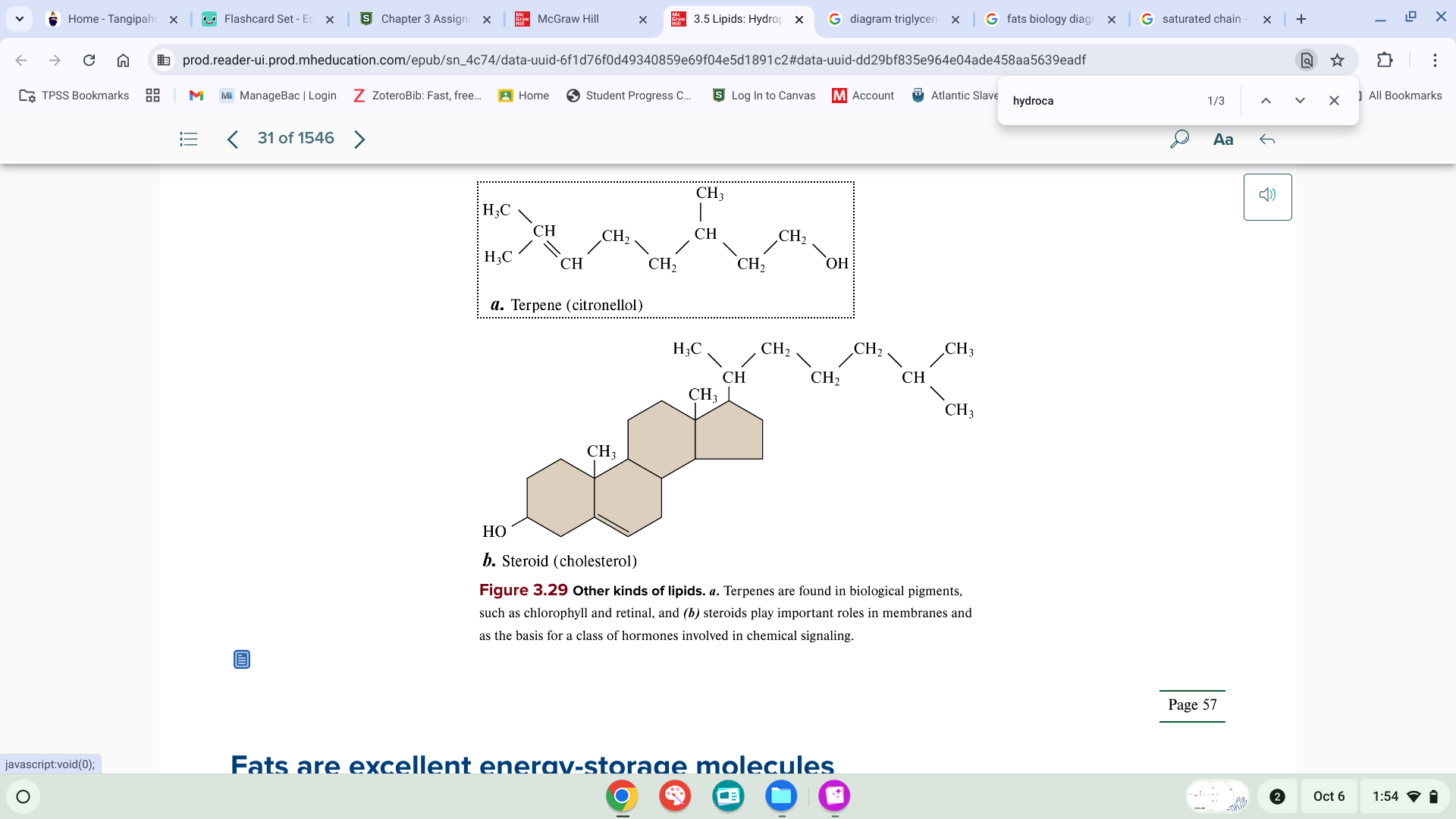 <p>other kinds of lipids</p>