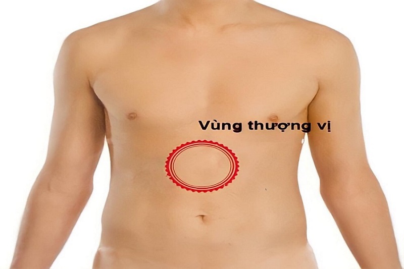 <p>thượng vị</p>