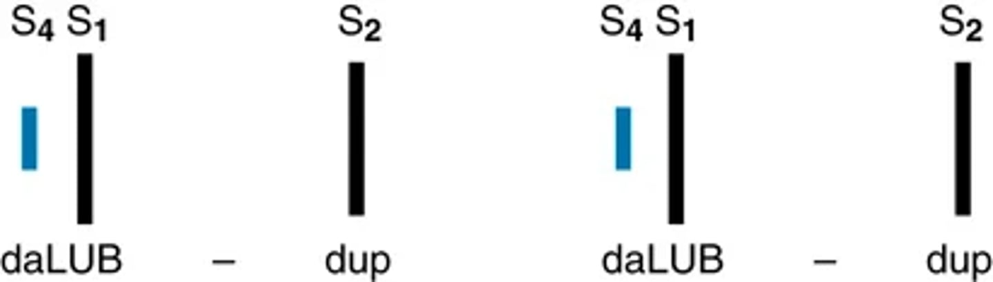 <p>The S3 also occurs with conditions of volume overload such as mitral regurgitation and aortic or tricuspid regurgitation. The S3 is also found in high cardiac output states in the absence of heart disease such as hyperthyroidism, anemia, and pregnancy. When the primary condition is corrected, the gallop disappears.</p>