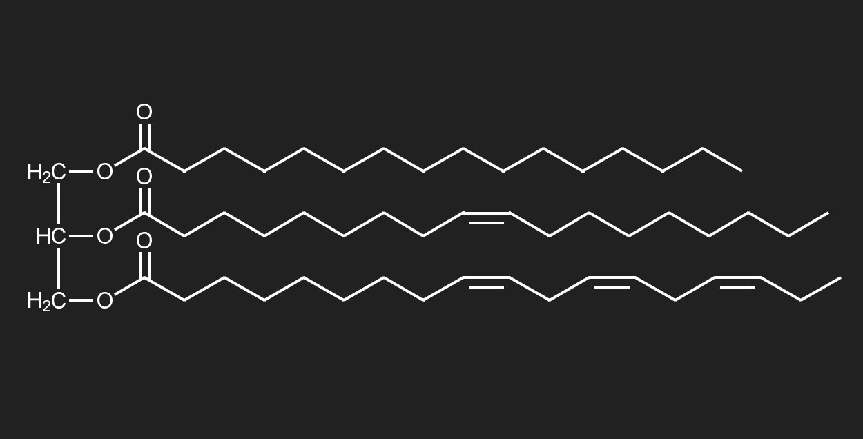 <p> a triglyceride consists of a glycerol head and three fatty acid tails</p>