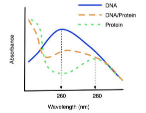 Absorption spectrum 