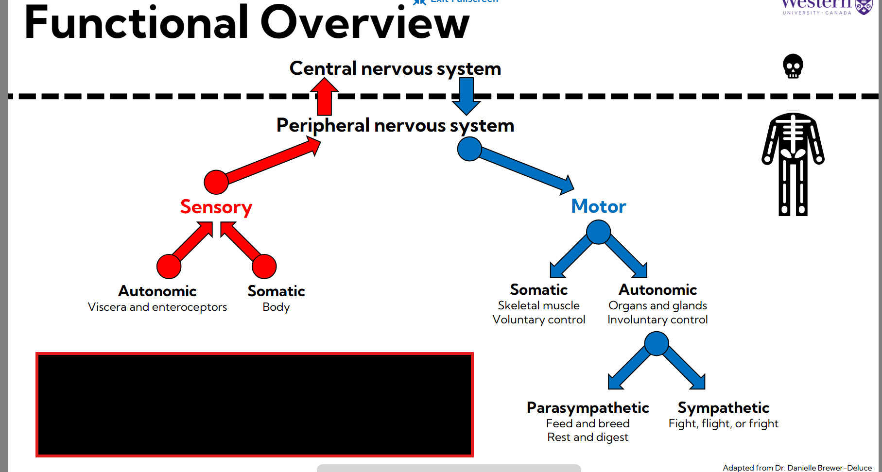 <p>Functional Overview </p>