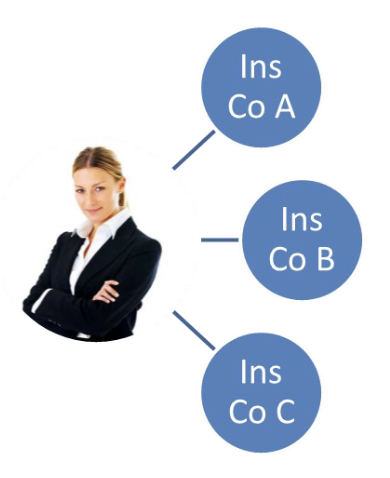 <ul><li><p>Agent works with a variety of insurance companies</p></li><li><p>The agent has contracts with several to many insurance companies.</p></li><li><p>Advantage is that the Agent may find the coverage that is best suited for the client. Not limited to one carrier.</p></li><li><p>More frequently used in Commercial P&C.</p></li></ul><p></p>
