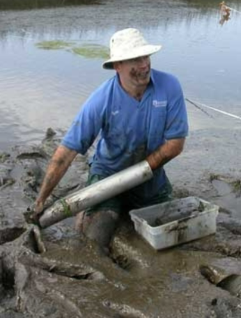 <ul><li><p>quantitative method </p></li><li><p>benthic (bottom dwelling) inverts (mostly worms)</p></li><li><p>diameter of core used to quantify area sampled </p></li></ul><p></p>