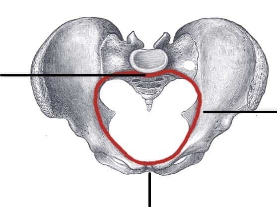 <p>What does the red circle represent?</p>