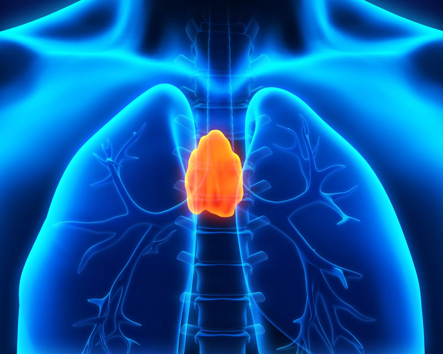 <p>Thymus Hormone</p>