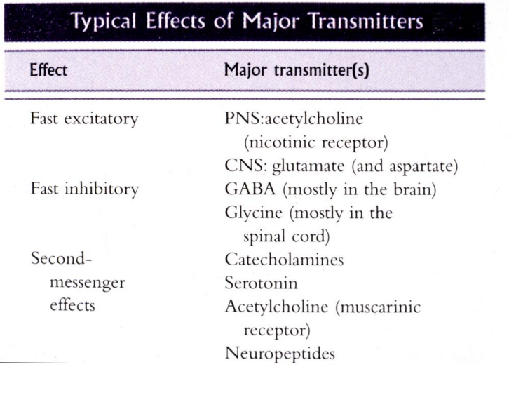 <p><strong>Fast excitatory</strong>: sodium into cell (depolarization) </p><ul><li><p>PNS: acetylcholine (nicotinic receptor)</p></li><li><p>CNS: glutamate (and aspartate)</p></li></ul><p><strong>Fast inhibitory:</strong> chloride/ potassium(hyperpolarization)</p><ul><li><p>GABA (mostly in brain)</p></li><li><p>Glycine (mostly in the spinal cord)</p></li></ul><p><strong>Second-messenger effects (slow): </strong>acetylcholine (muscarinic receptor)</p><p></p>